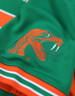 Florida A&M University FAMU Football Jersey- Men's