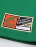 Florida A&M University FAMU Football Jersey- Men's