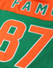 Florida A&M University FAMU Football Jersey- Men's