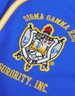 Sigma Gamma Rho Sorority Baseball Jersey- Button Up-Blue/Yellow