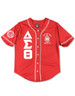 Delta Sigma Theta Sorority Baseball Jersey- Button Up-Red