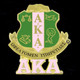 Alpha Kappa Alpha AKA Sorority Crest with 3 Greek Letter Lapel Pin