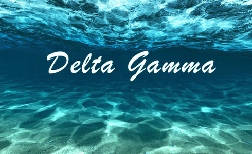  Delta Gamma Sorority Flag- Ocean 
