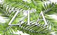 Zeta Tau Alpha ZTA Sorority Flag- Palm Leaves  