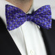 Sigma Alpha Epsilon SAE Fraternity Silk Bow Tie- Self-Tie- Greek Letters