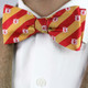 Kappa Alpha Fraternity Silk Bow Tie- Self-Tie- Symbol
