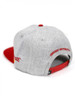 Tuskegee University Snapback Hat- Gray