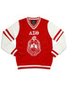 Delta Sigma Theta Sorority Pull Over V-Neck Sweater- Crest