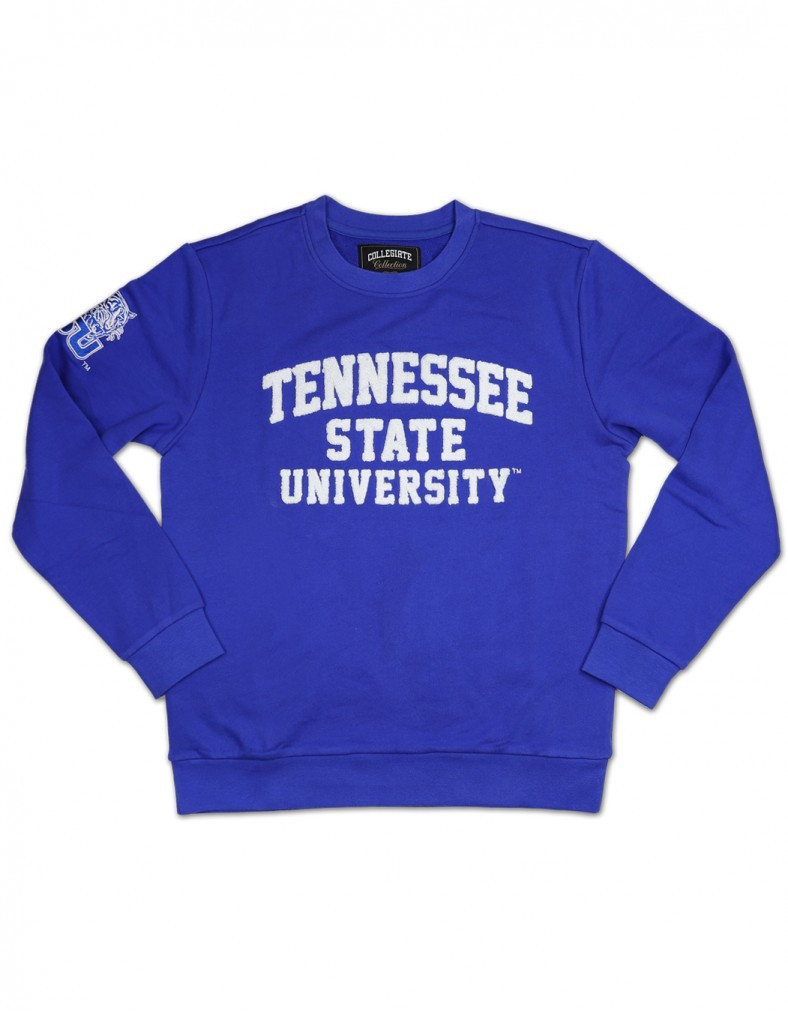 Tennessee State University Sweatshirt - Brothers and Sisters