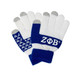 Zeta Phi Beta Sorority Knit Gloves 