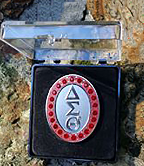Delta Sigma Theta Sorority 22 Ruby Rhinestone Pin