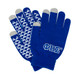 Phi Beta Sigma Fraternity Gloves