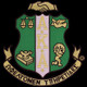 Alpha Kappa Alpha Sorority Crest Emblem-  10.5 Inches