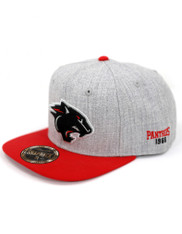 Clark Atlanta University Snapback Hat- Gray