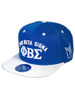 Phi Beta Sigma Fraternity Snapback Hat