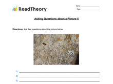 Asking Questions About a Picture - Exercise 5