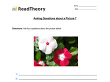Asking Questions About a Picture - Exercise 7