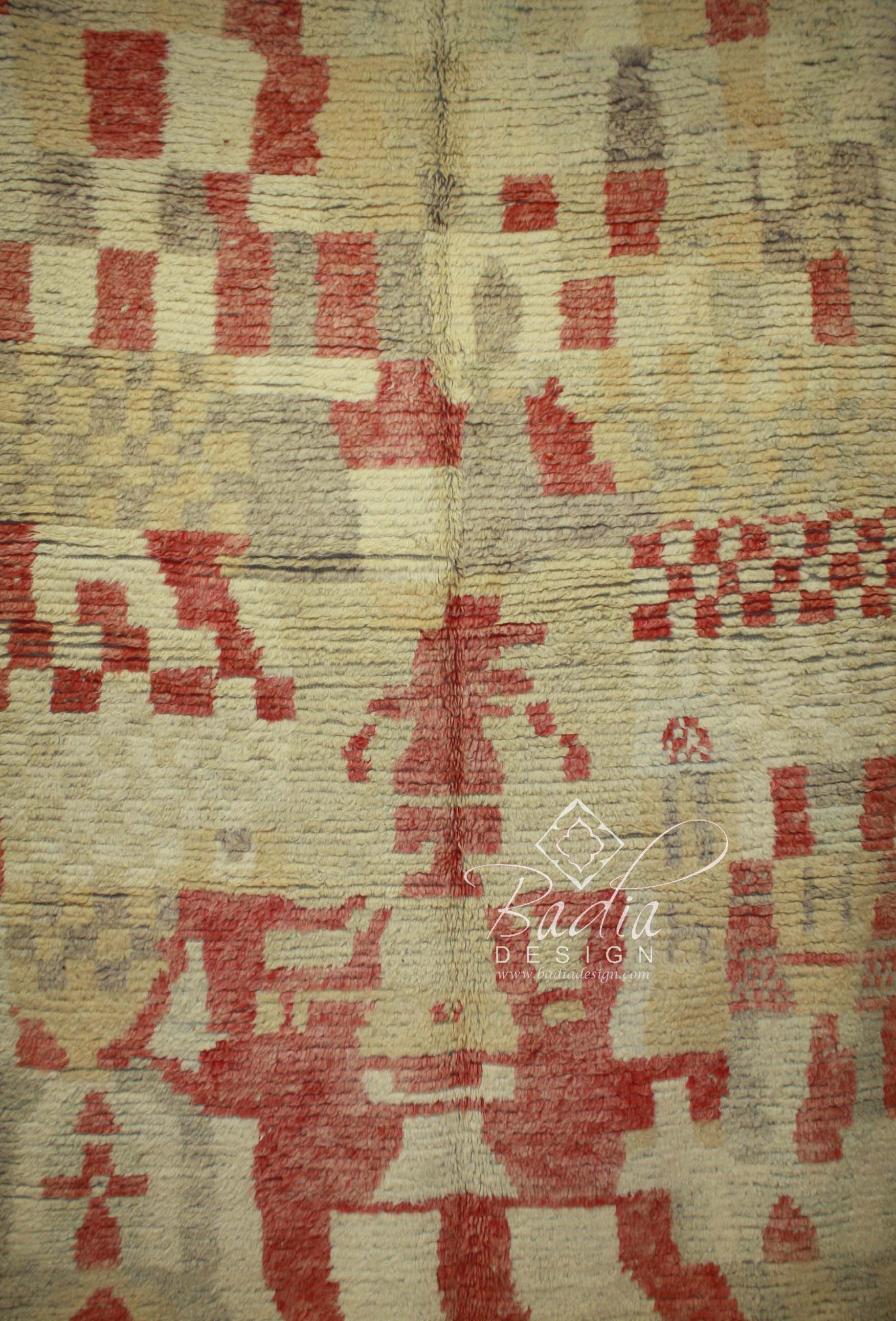 moroccan-berber-rugs-in-los-angeles-r775-2.jpg