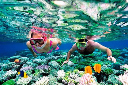 Snorkeling in Key West.
