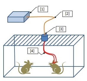 Optogenetics Toolkit for Free Moving Animals