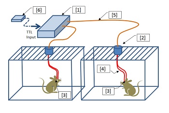optogenetics-led-dual-system-small.jpg