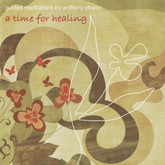 A Time for Healing front cover