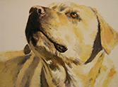 Pam McLaughlin © Demo & Dialogue: Dog Portraits in Watercolor with Pam McLaughlin, Saturday, May 5, 1-3pm