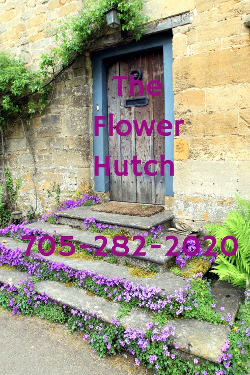 The Flower Hutch In Gore Bay!