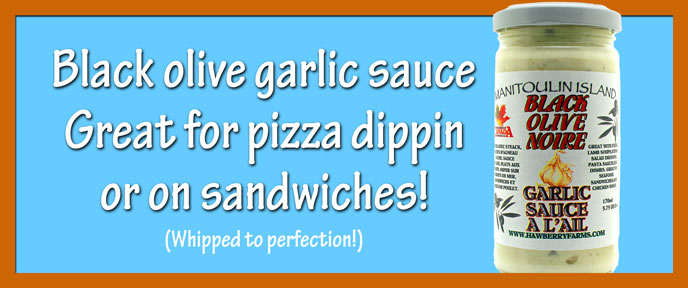 garlicsaucel-banner.jpg