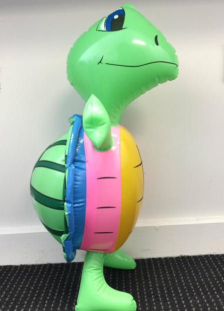 inflatable turtle costume