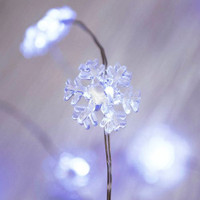 2m AA Snowflake Seed Lights