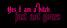 Yes I am a bitch, just not yours motorcycle helmet sticker