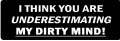 I THINK YOU ARE UNDERESTIMATING MY DIRTY MIND (1 Dozen)