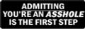 ADMITTING YOU'RE AN ASSHOLE IS THE FIRST STEP (1 Dozen)