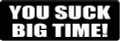 YOU SUCK BIG TIME (1 Dozen)