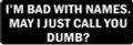 I'M BAD WITH NAMES.  MAY I JUST CALL YOU DUMB?(1 Dozen)