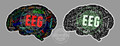 EEG Words Decal