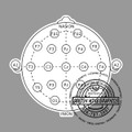 EEG 10/20 Headstamp