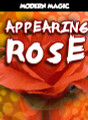 Appearing Rose - Modern