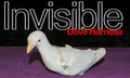 Invisible Dove Harness - PRO