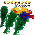 Blooming Blossom 1 to 3 Removeable