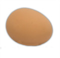 Latex Egg Solid - Brown