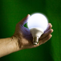 Mentalist Light Bulb, LED