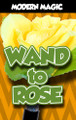 Wand to Rose - Modern