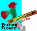Drooping Feather Flower