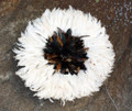 Cameroon Juju Hat: White Natural 18 inch