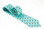 Light Teal