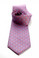 Royal Orchid