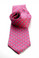 Carnation Pink