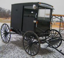 Amish Buggy AmishQuilter Amish Buggy